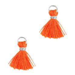 Mini kwastjes Ibiza style Zilver-Neon