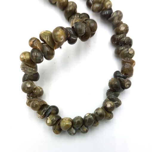 Kleine hele schelp kraaltjes ±5-6mm army green (per 10st)