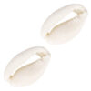 Schelp kralen kauri Naturel white