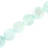 Schelp kralen rond mintgroen 8mm