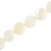 Schelp kralen rond wit 8mm