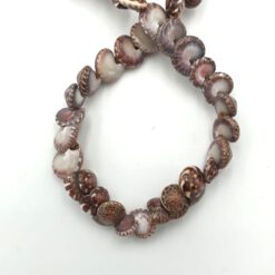 Kleine hele schelp kraaltjes bruin wit 8mm (per 10st)