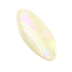 Schelp kralen ovaal Cream beige 15x30mm