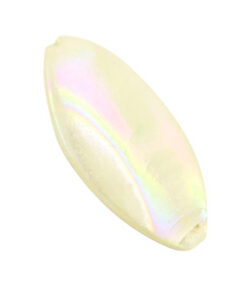 Schelp kralen ovaal Cream beige 15x30mm
