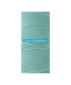 Braziliaans polyester waxkoord Aqua blauw 0.5mm (per meter)