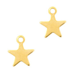 RVS Bedel Ster (10 x 8mm) Goud