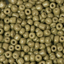 Glaskralen Rocailles 8/0 (3mm) Cactus green