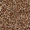 Miyuki kralen delica's 11/0 Duracoat galvanized champagne DB-2504