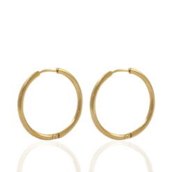 RVS oorbellen creolen 18mm Goud