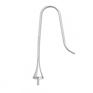 Roestvrij stalen (RVS) Stainless steel onderdelen oorbellen / oorhanger met eindkapje Silver - artikelnummer 95155